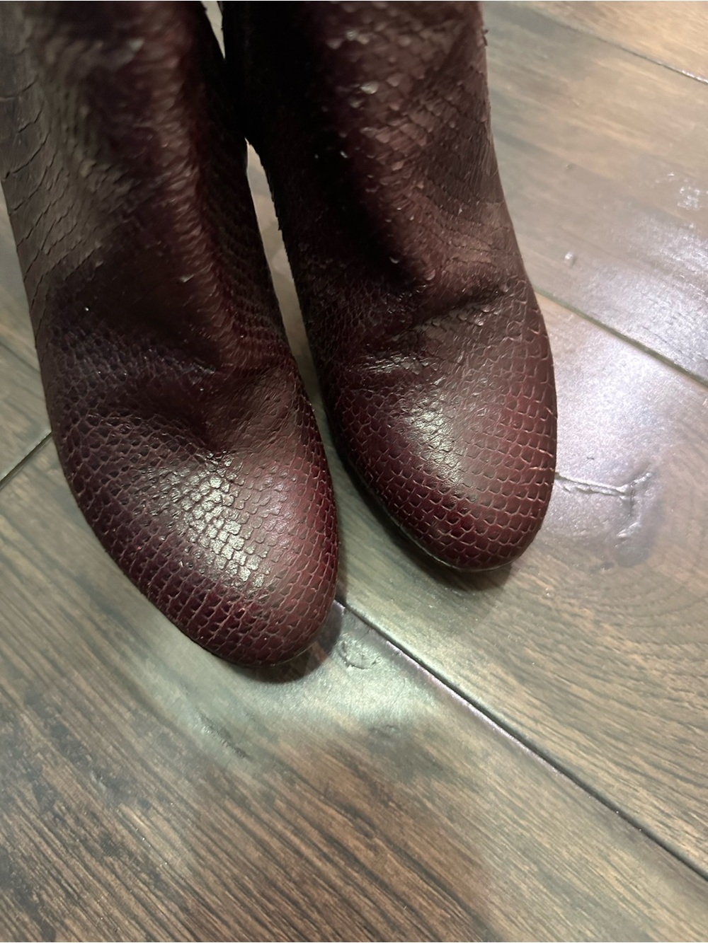 - DIOR ✨Mulberry Python ankle boots - Picture 5 of 6
